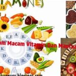 Fakta Penting tentang Vitamin dan Manfaatnya