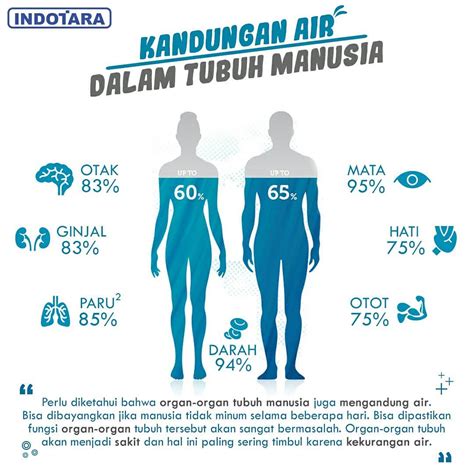 Pentingnya Asupan Air yang Cukup bagi Tubuh