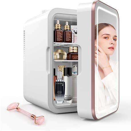 Skincare Fridge1